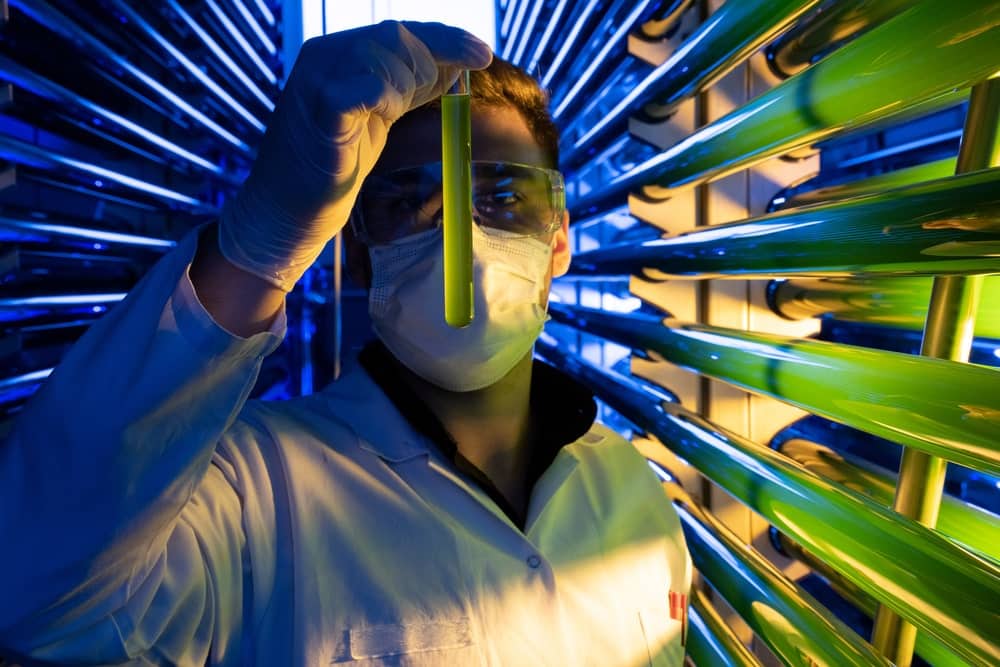 DSC3873 1 min - Our Story